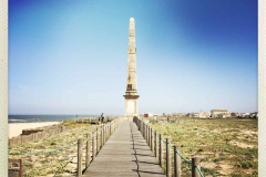 Camino 2018