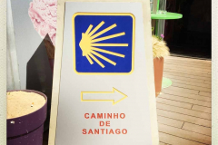 Camino 2018