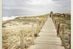 Camino 2018