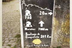 Camino 2018