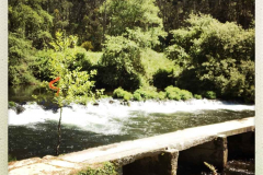 Camino 2018