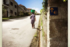 Camino 2018