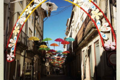 Camino 2018