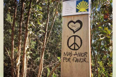 Camino 2018