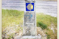 Camino 2018
