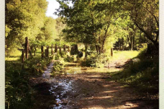 Camino 2018