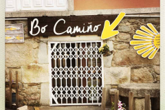 Camino 2018