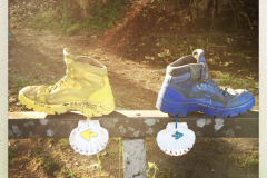 Camino 2018