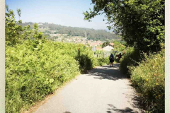 Camino 2018