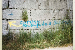 Camino 2018