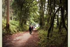 Camino 2018
