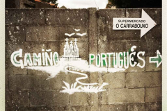Camino 2018