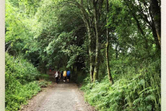 Camino 2018