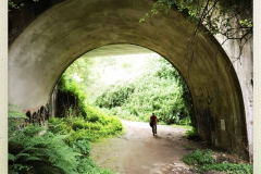 Camino 2018