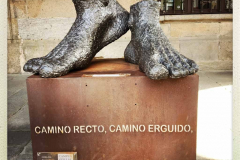 Camino 2018